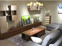 North Europe Modern Style TV wall TV Rack and coffee table